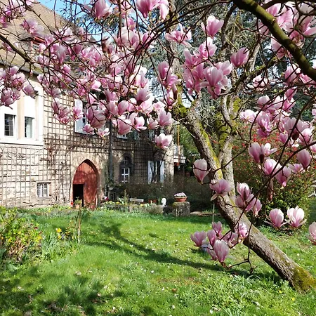 Marienhof Гостевой дом Гкоберн-Гондорф