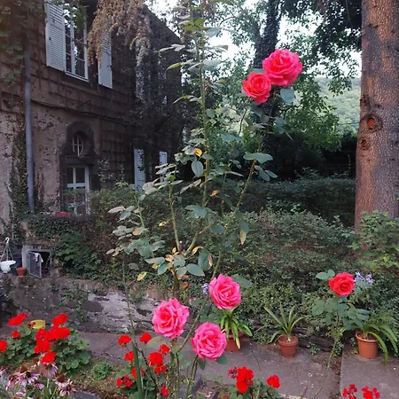 Marienhof 3* Гкоберн-Гондорф