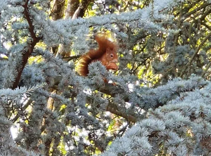 Marienhof 코베른곤도르프