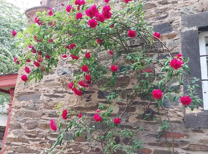 Gæstehus Marienhof 3*