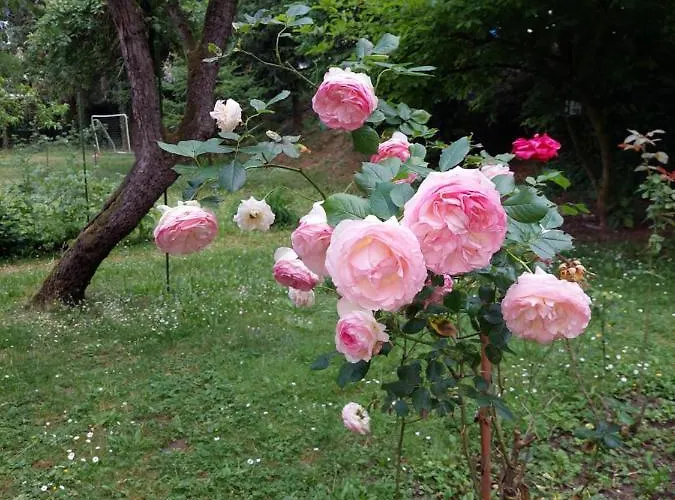 Marienhof Gæstehus Kobern-Gondorf