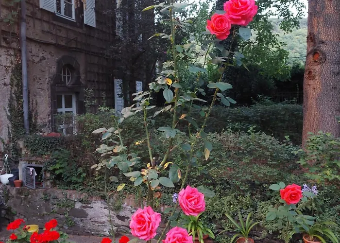 Marienhof 3* Kobern-Gondorf